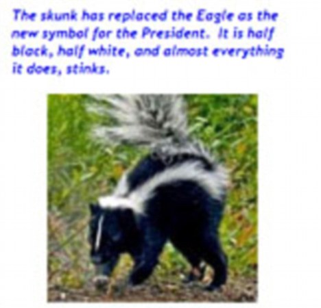 Tea Party Portrays President Obama as a Skunk:  Half-White, Half Black and Stinky