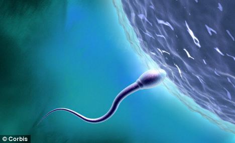 Sperm Counts Drop by 38% Due to Poor Health and Diet