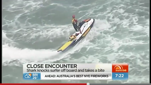 Surfer knocked off board by shark