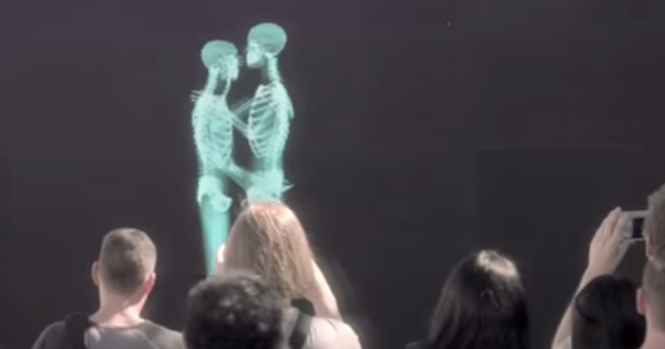 Skeletons hug, kiss, dance behind a screen – what comes out may surprise you